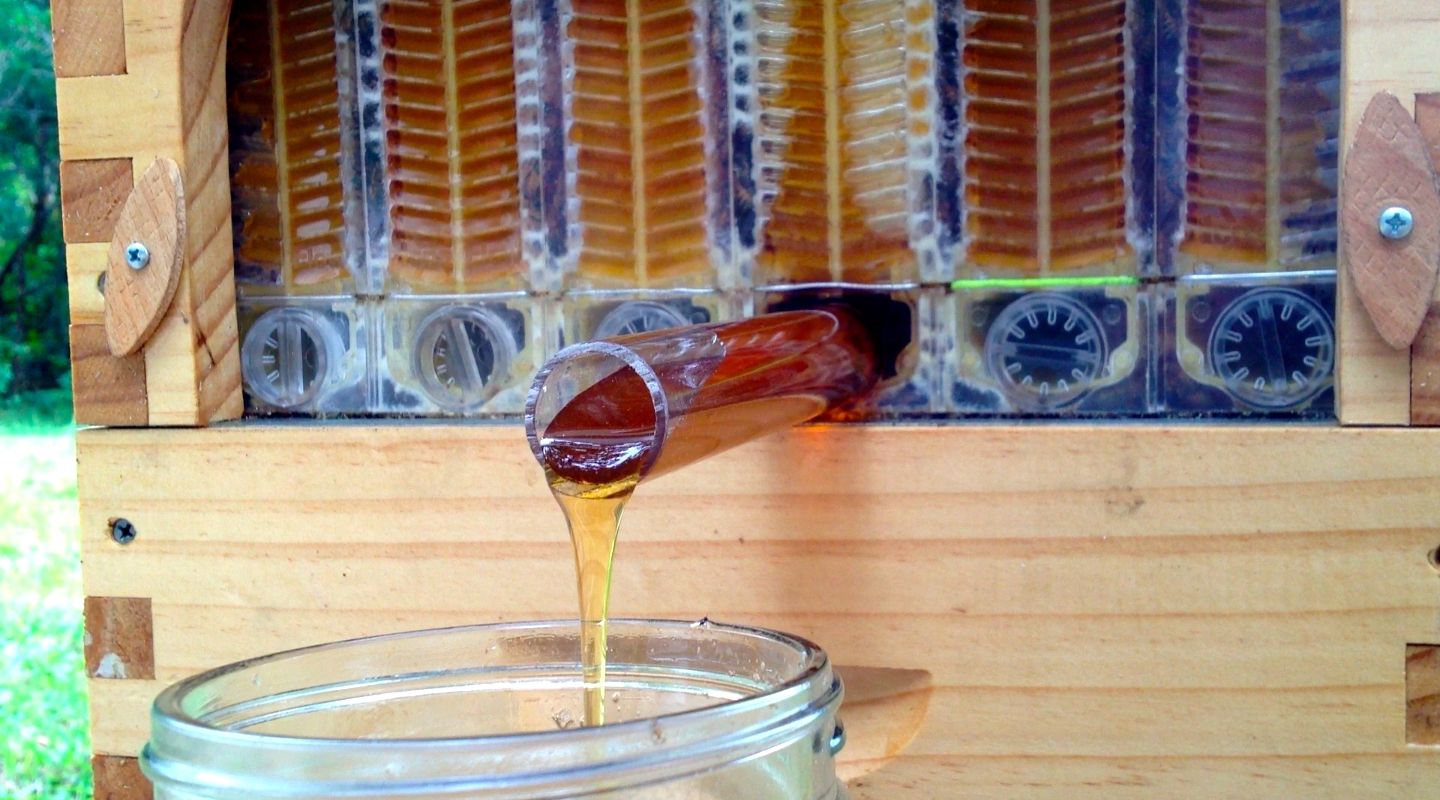 How the honey is flowing into the jar from Flow Hive