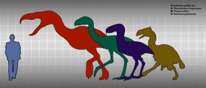 Prehistorical birds