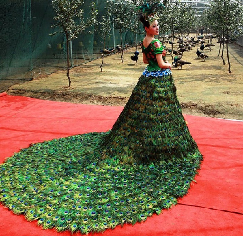 Wedding dress made with peacock feathers