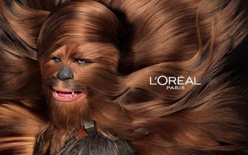 Chewbacca groomed