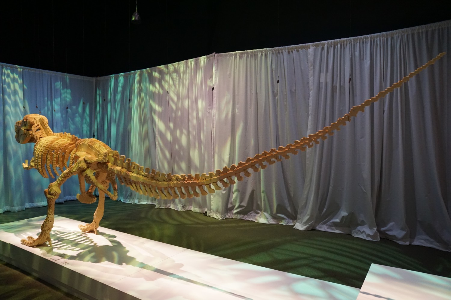 Tyrannosaurus rex - back
